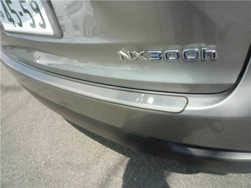 NX