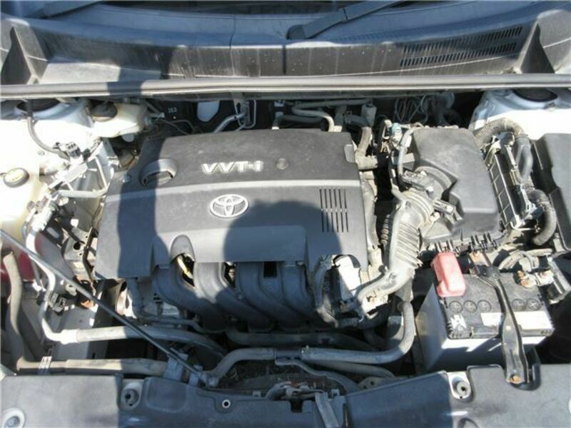 COROLLA RUMION