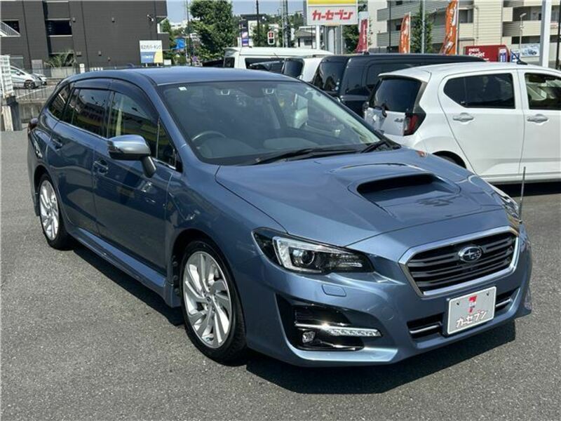 LEVORG