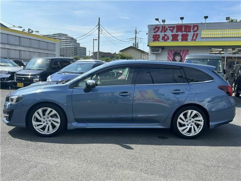 LEVORG