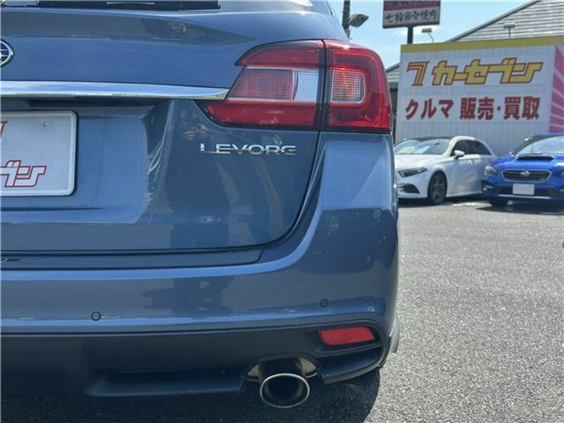 LEVORG