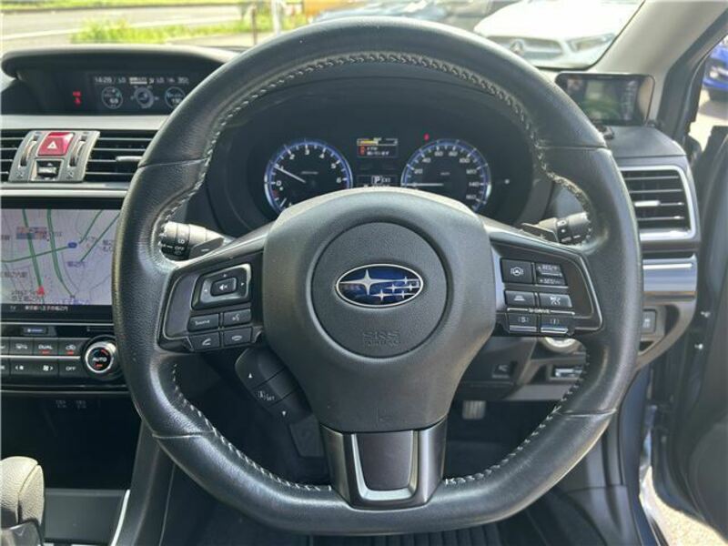 LEVORG