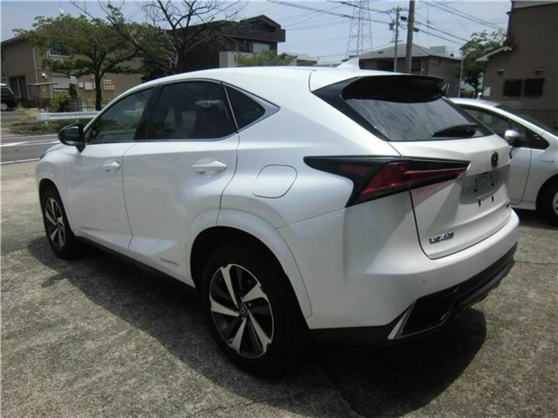 NX