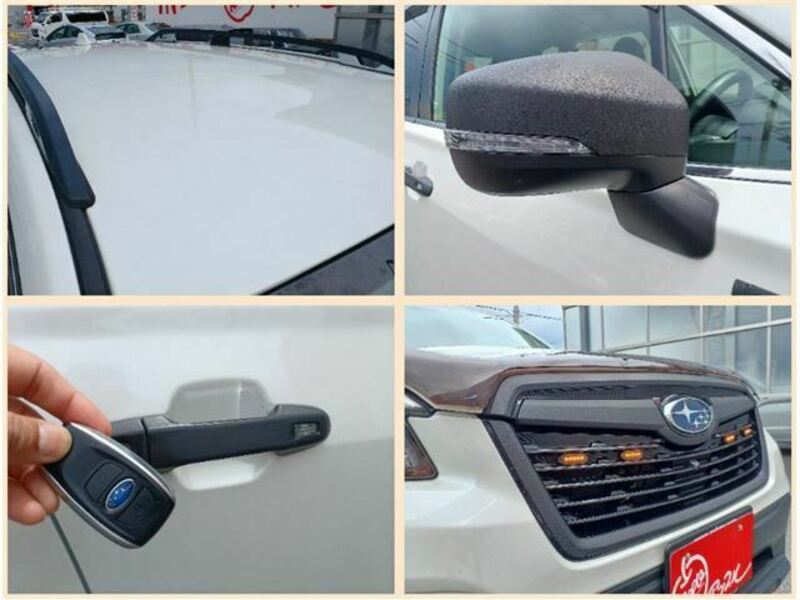 FORESTER