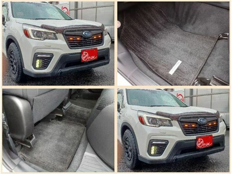 FORESTER