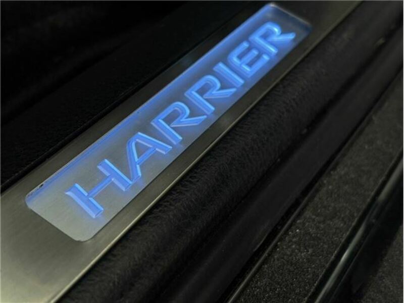 HARRIER