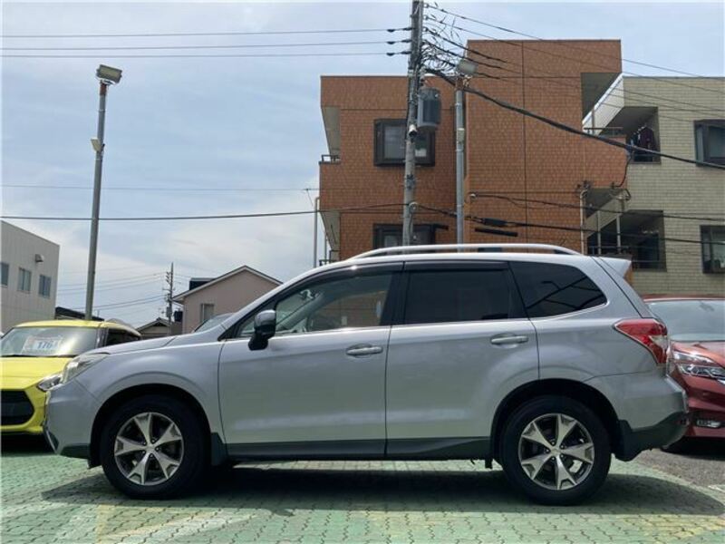 FORESTER