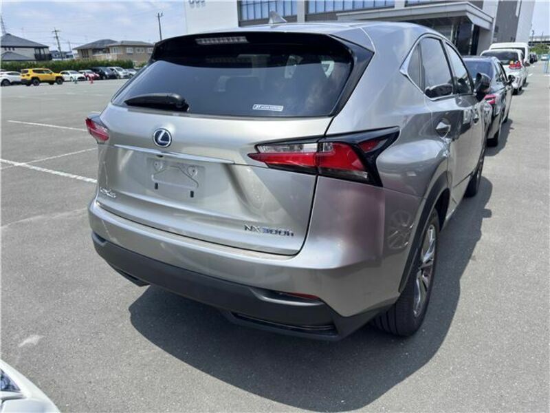 NX