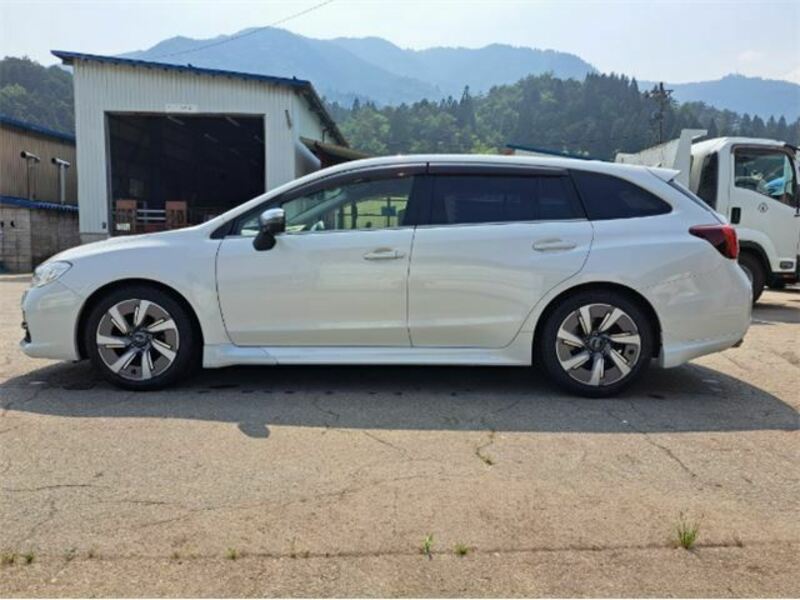LEVORG