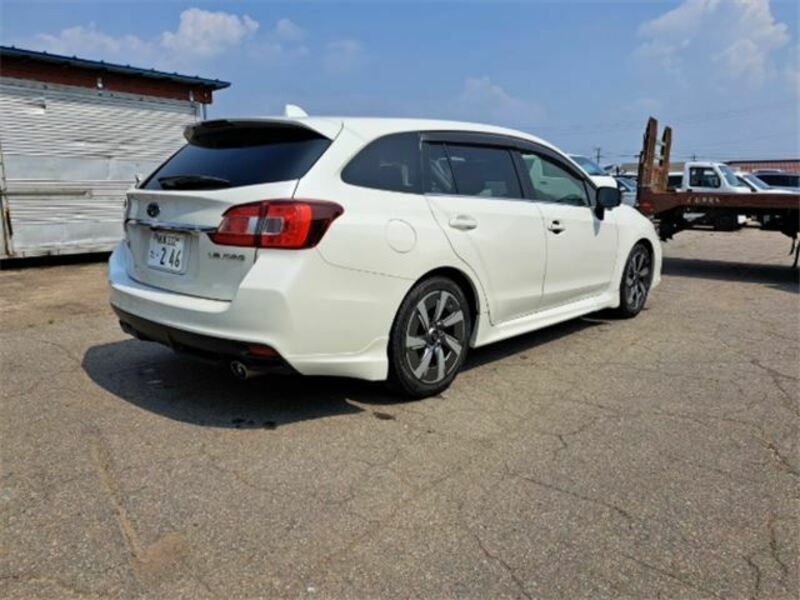 LEVORG