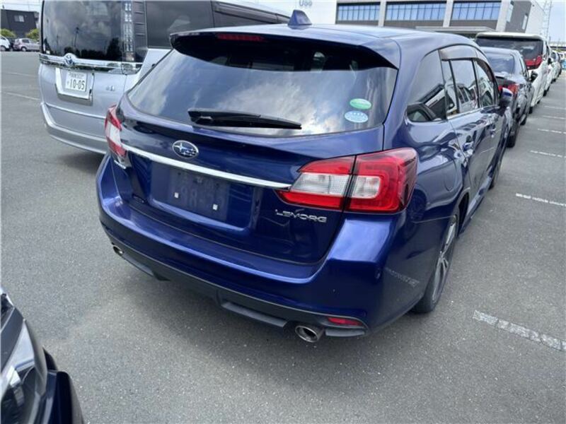 LEVORG