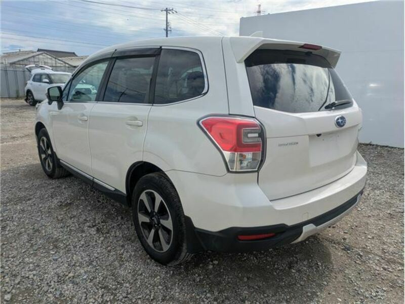 FORESTER
