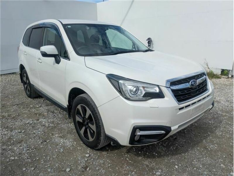 FORESTER