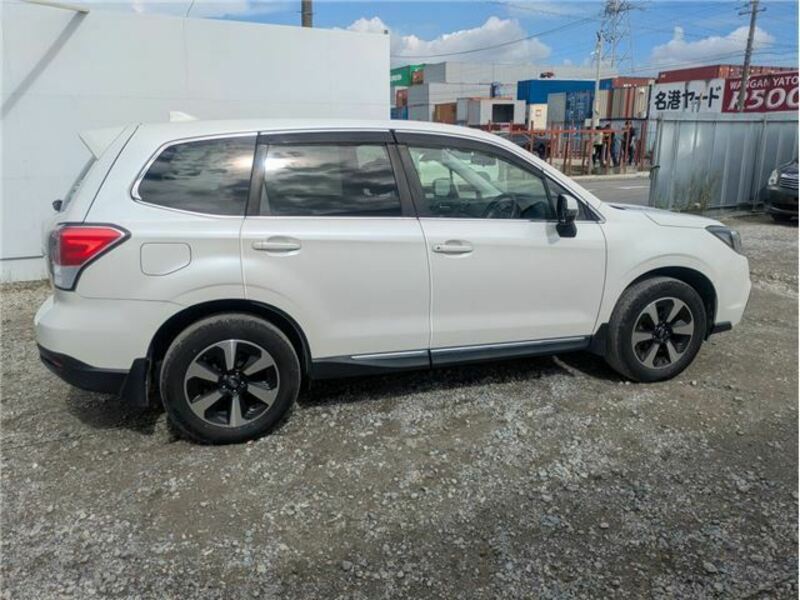 FORESTER