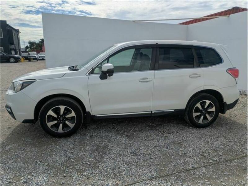 FORESTER
