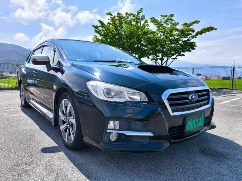 LEVORG