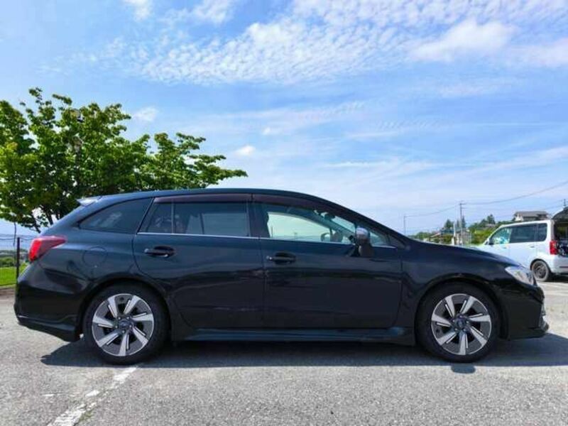 LEVORG
