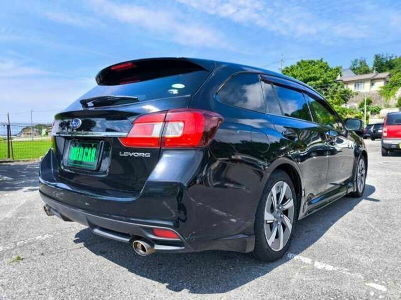 LEVORG