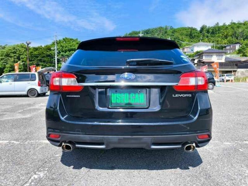 LEVORG