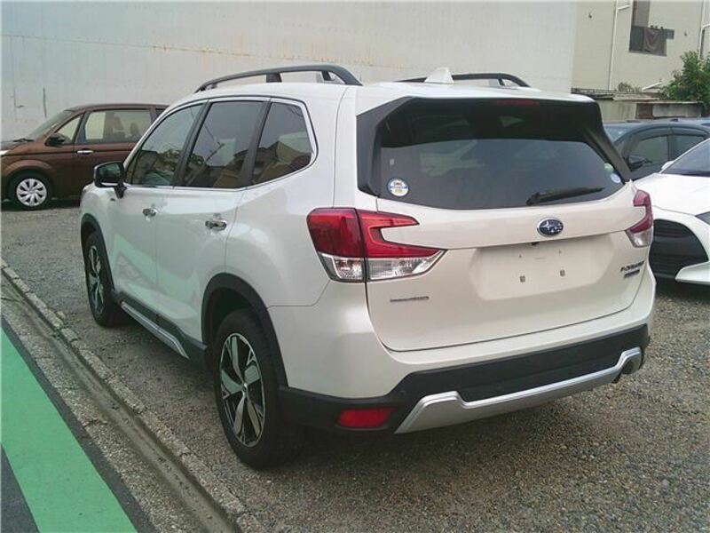 FORESTER
