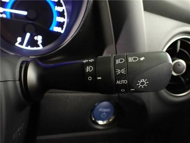 AURIS