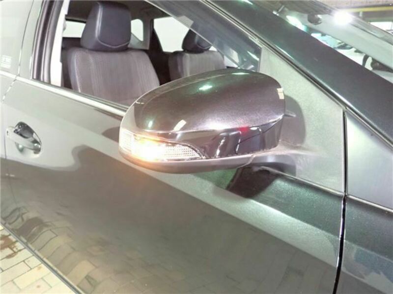AURIS