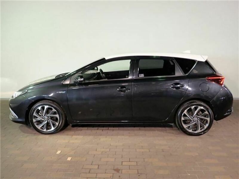 AURIS