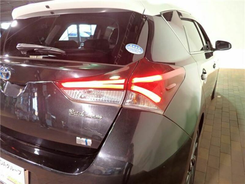 AURIS