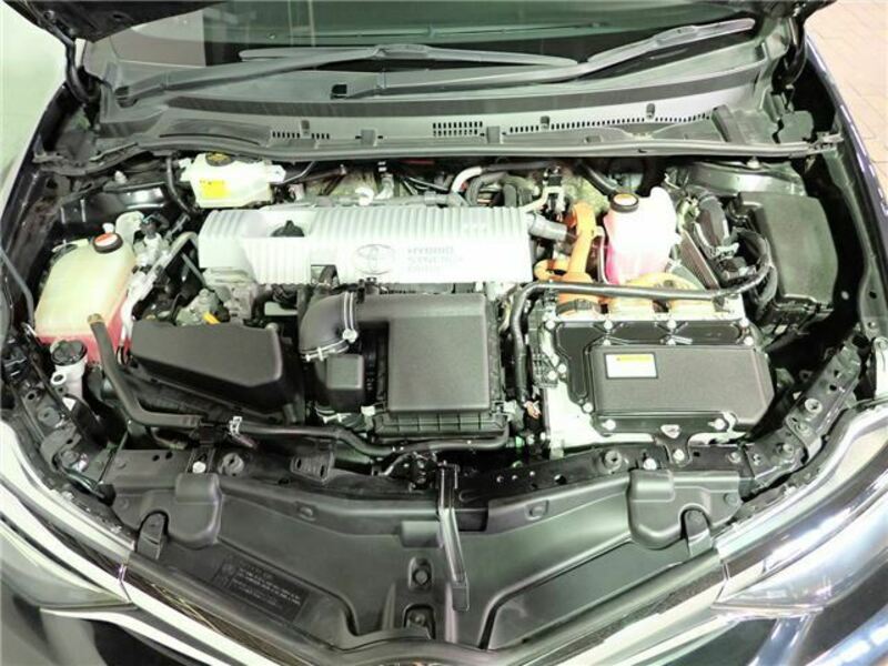 AURIS