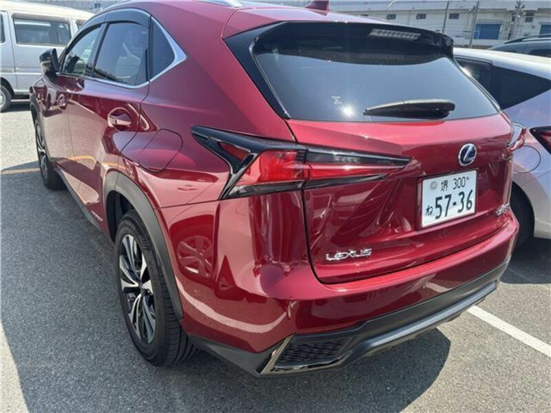 NX