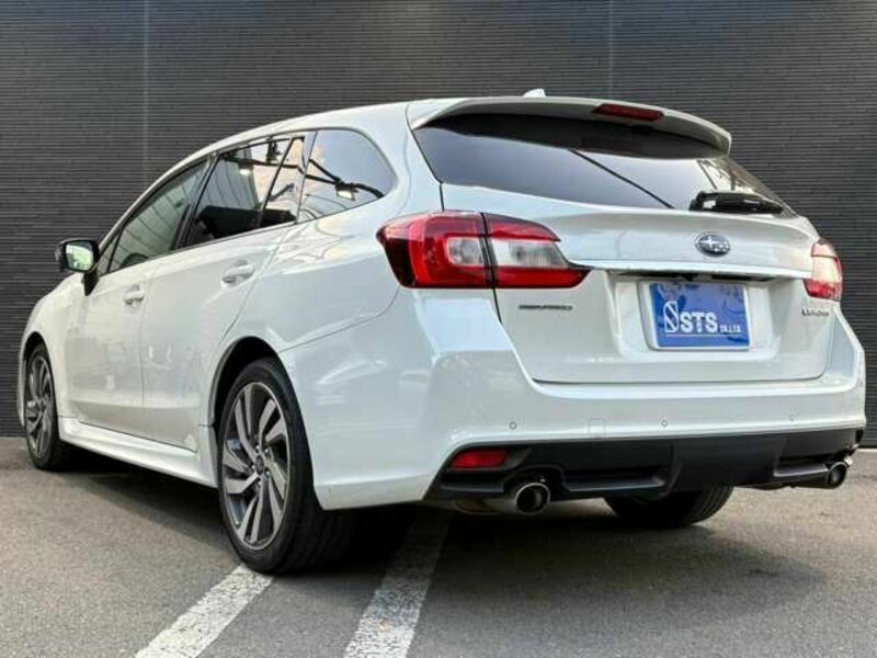 LEVORG