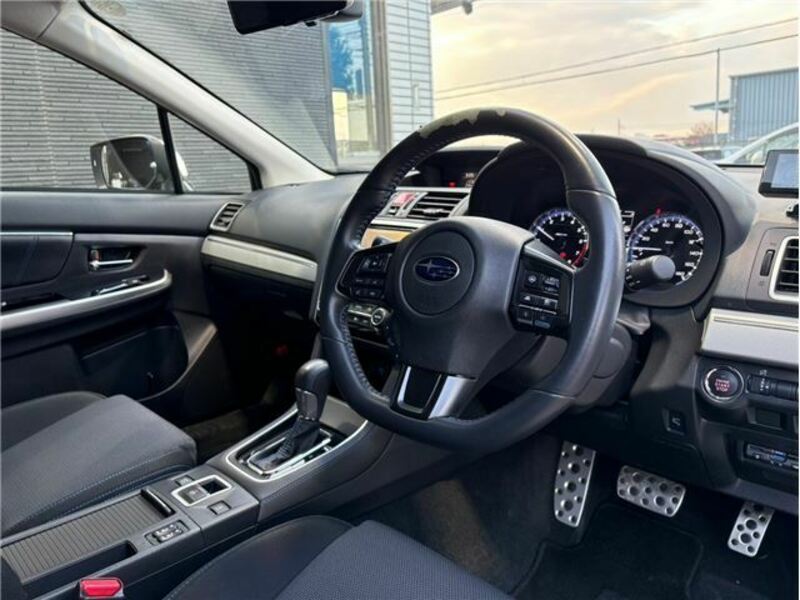 LEVORG