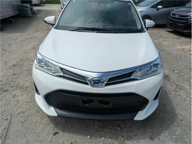 COROLLA FIELDER