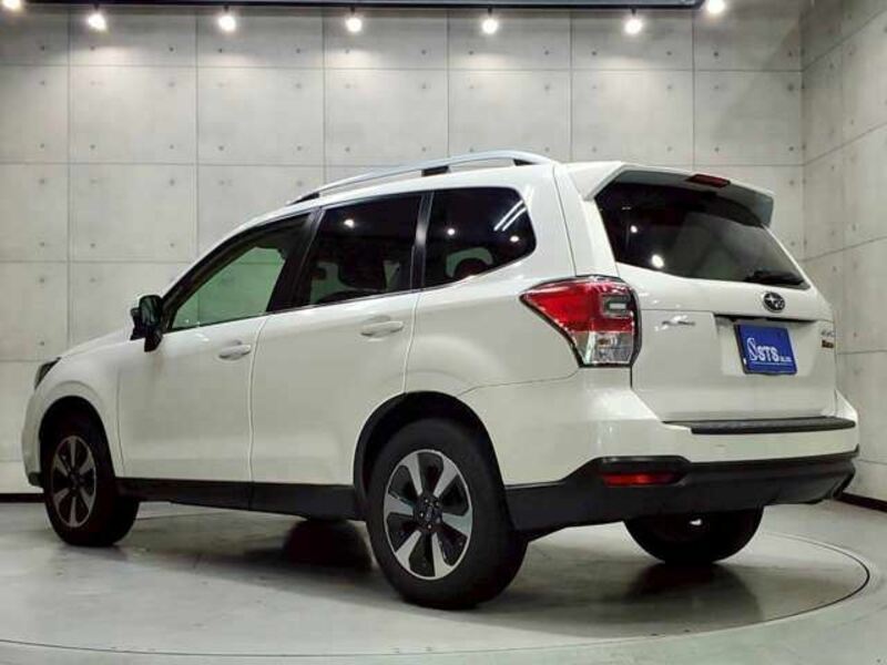 FORESTER