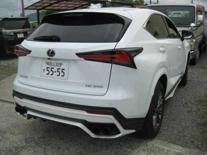 NX