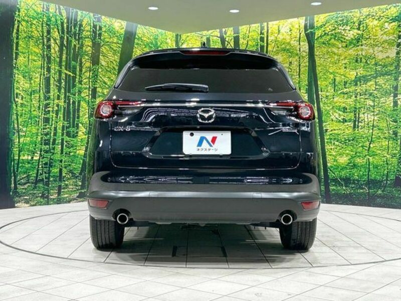 CX-8