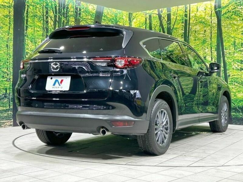 CX-8