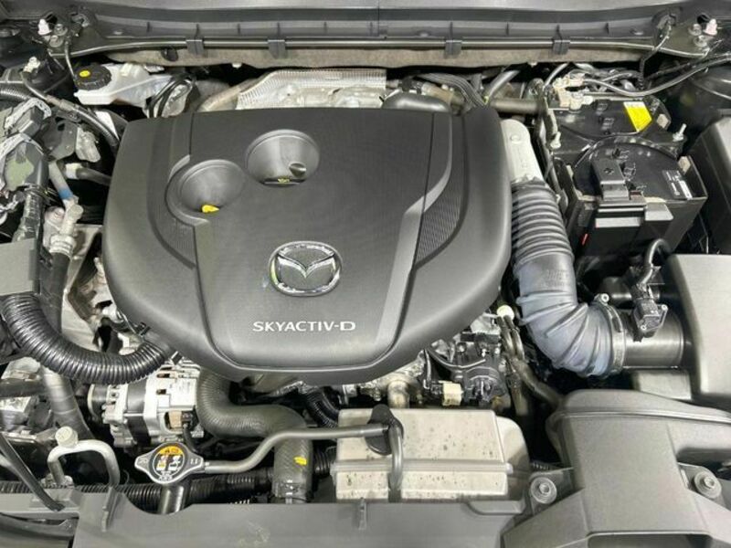 CX-8