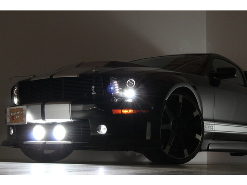 MUSTANG