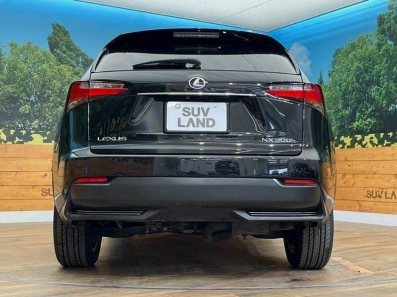 NX
