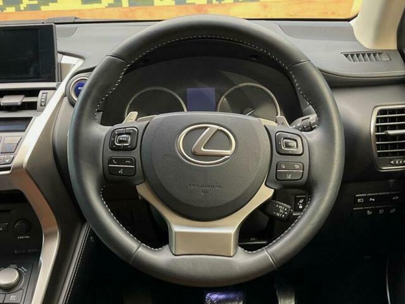 NX