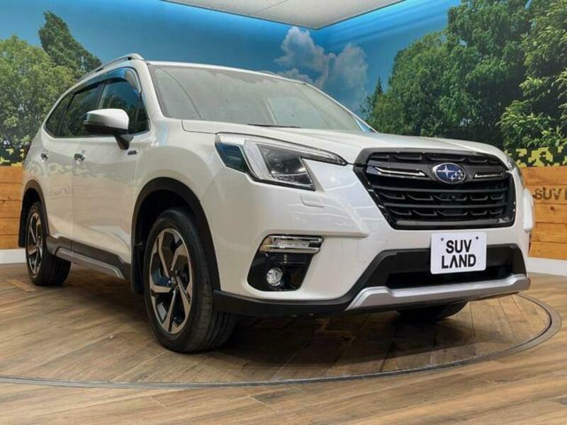 FORESTER