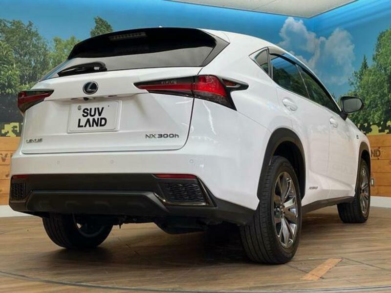 NX