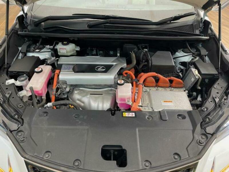 NX