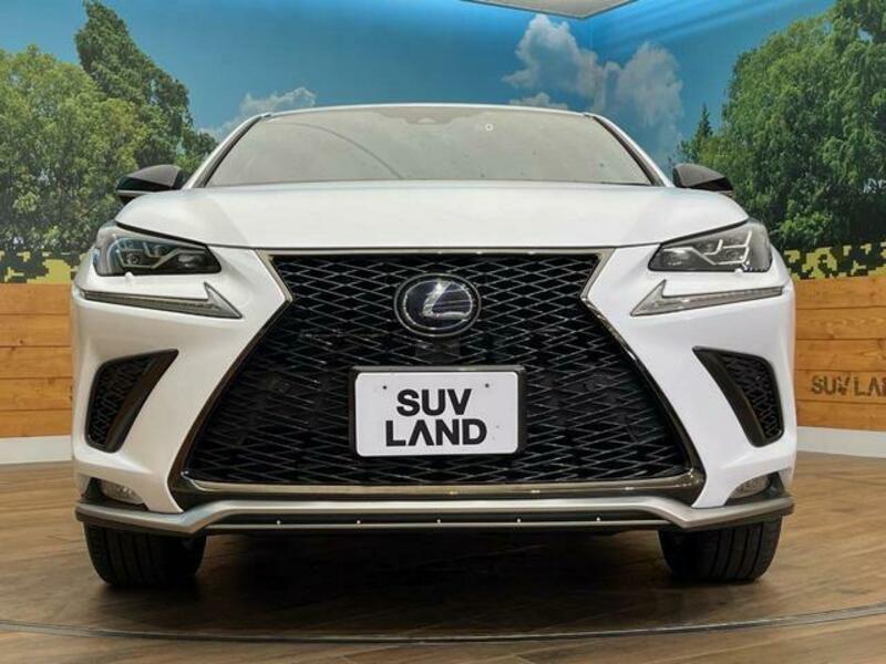 NX