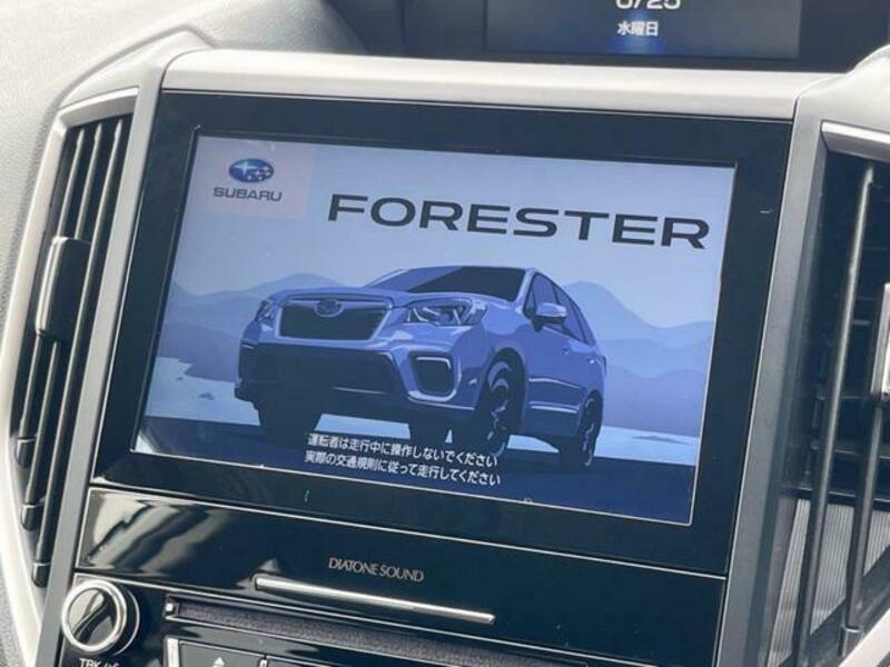 FORESTER