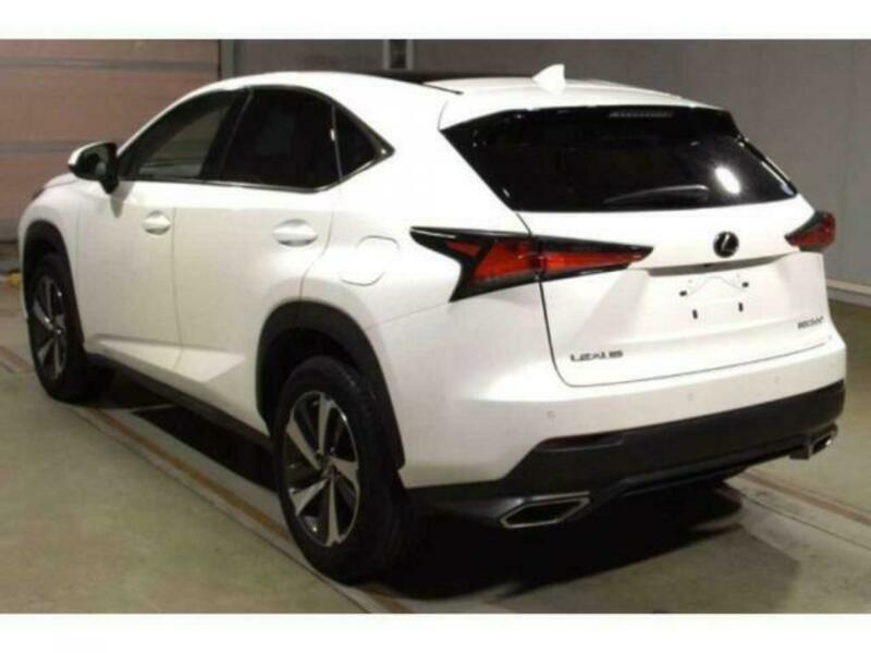 NX