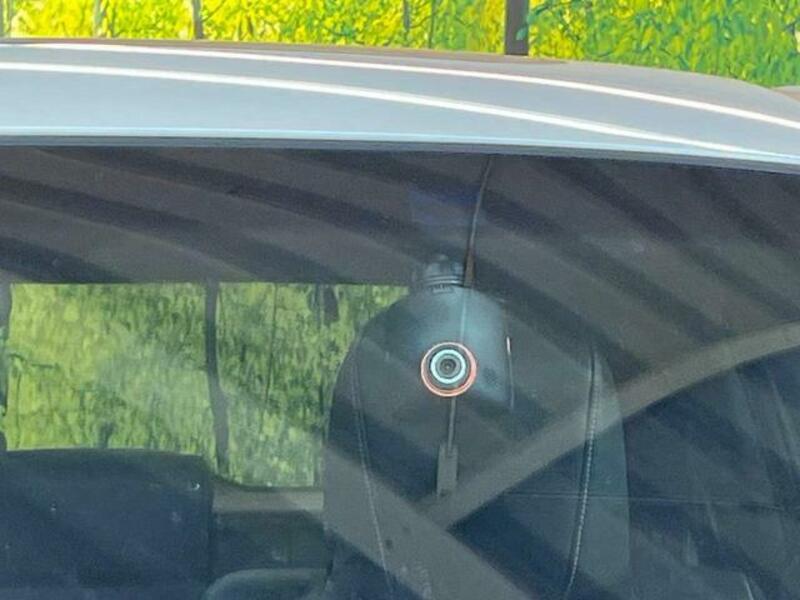 HARRIER