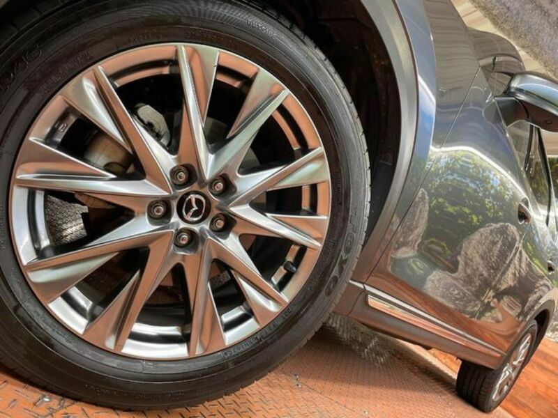 CX-8