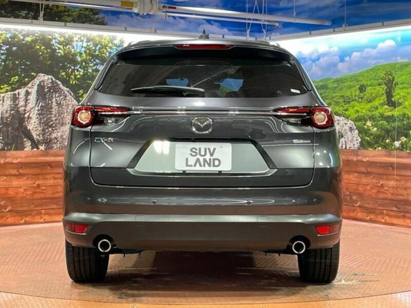 CX-8